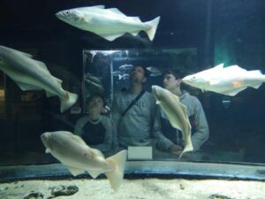 aquaria in NAVIGO – Nationaal Visserijmuseum in oostduinkerke