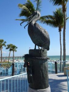 beeld van een pelikaan op fort-myers beach florida