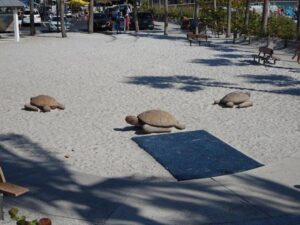 beelden van schildpadden in het zand op fort-myers beach florida