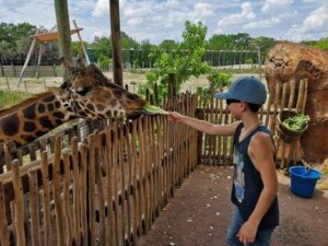 giraf voederen zoo tampa florida