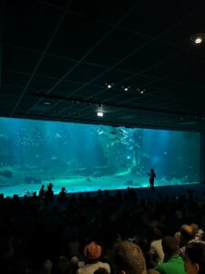 mega aquarium Nausicaá Boulogne-Sur-Mer roadtrip Noord Frankrijk