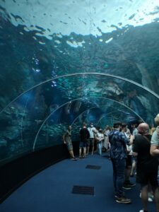 watertunnel aquarium Nausicaá Boulogne-Sur-Mer roadtrip Noord Frankrijk