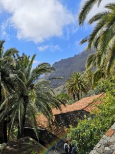masca kloof Tenerife