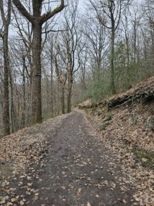 deel 2 van de wandeling in de Ninglingspo vallei in de Ardennen
