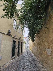 kleine straatjes in de wijk Alfama in Lissabon Portugal