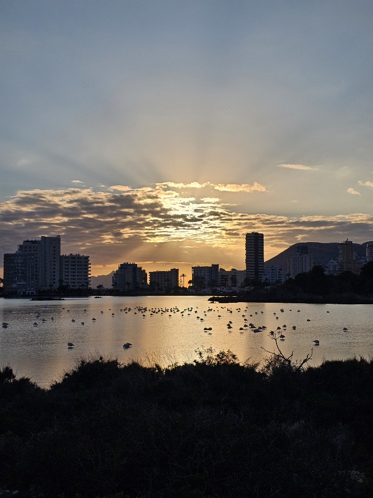 flamingo's in het zoutmeer, las salinas, van Calpe bij zonsondergang